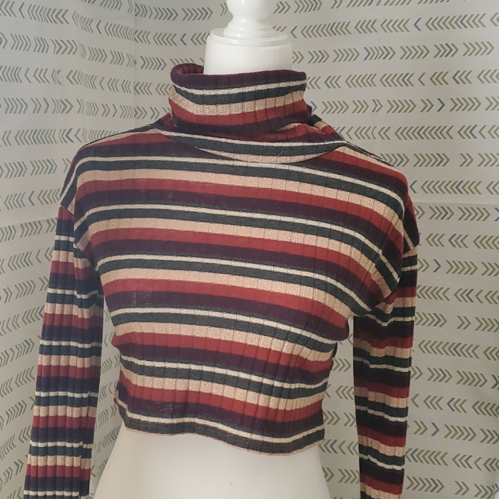 Striped turtleneck crop top